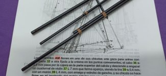 jabeque cazador 0561.jpg