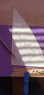 Imagen de WhatsApp 2025-01-02 a las 10.24.49_eb977b0b.jpg