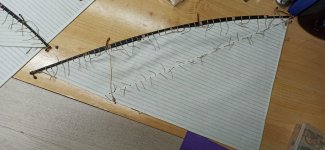 Imagen de WhatsApp 2025-01-13 a las 09.51.11_be3f7478.jpg