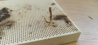 Imagen de WhatsApp 2025-01-15 a las 10.40.04_e7d50deb.jpg