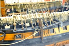 zzzan5.jpg zzzan5.jpg