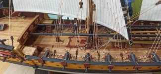 Imagen de WhatsApp 2025-01-28 a las 12.38.32_e3eed14c.jpg