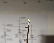 WhatsApp Image 2025-01-31 at 20.02.14.jpeg