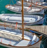 Imagen de WhatsApp 2025-02-03 a las 10.21.58_c047e08d.jpg