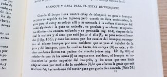 Imagen de WhatsApp 2025-03-12 a las 18.02.37_fe1e0302.jpg