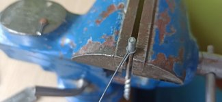 Imagen de WhatsApp 2025-03-16 a las 19.57.48_1a485998.jpg