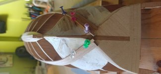 jabeque cazador 00000008_resize.jpg