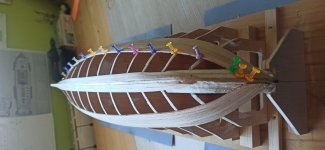 jabeque cazador 00000009_resize.jpg