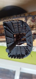 Imagen de WhatsApp 2025-03-22 a las 10.47.47_c7e541c7.jpg