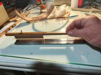 IMG20250603092551 (2).jpg