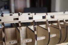 302 LISTONES AMURAS  PARTE CENTRAL.JPG