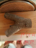 IMG_20250917_174948 (2).jpg