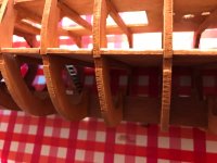 IMG_0804 Grande.jpeg