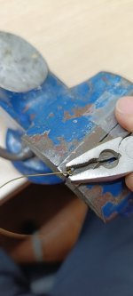 Imagen de WhatsApp 2025-11-09 a las 11.53.44_c0b22c11.jpg