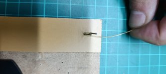 Imagen de WhatsApp 2025-11-09 a las 11.53.44_523be99f.jpg