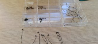 Imagen de WhatsApp 2025-11-09 a las 11.53.43_e436cc29.jpg