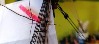 Imagen de WhatsApp 2025-11-09 a las 11.53.43_af44c9c8.jpg