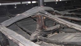 Captura de pantalla 2025-11-15 081212.jpg