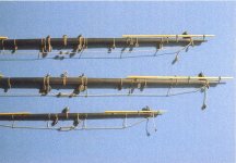 Captura de pantalla 2025-12-05 175755.jpg