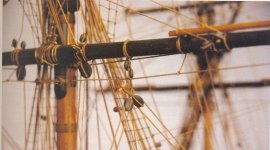 Captura de pantalla 2025-12-05 175827.jpg