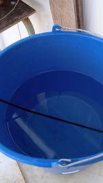 019 Sumergir Ebano en agua caliente.jpg