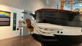 IMG_6518 Grande.jpeg