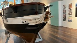 IMG_6519 Grande.jpeg