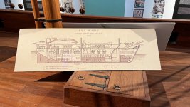 IMG_6520 Grande.jpeg