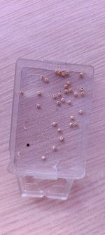 Imagen de WhatsApp 2025-12-16 a las 16.53.55_d65e8d15.jpg