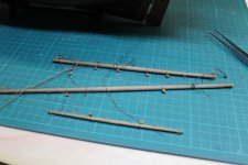 43 VERGAS PALO MAYOR.JPG