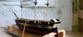 WhatsApp Image 2026-01-31 at 23.30.29 (1).jpeg