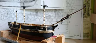 WhatsApp Image 2026-01-31 at 23.30.29.jpeg