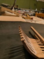 IMG20260204211548 (3).jpg