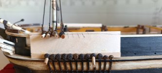 WhatsApp Image 2026-02-04 at 19.36.40 (1).jpeg