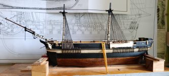 WhatsApp Image 2026-02-04 at 19.36.33.jpeg