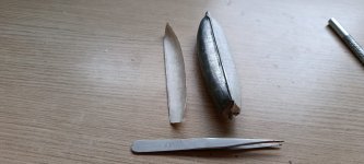 WhatsApp Image 2026-01-26 at 09.34.28 (1).jpeg