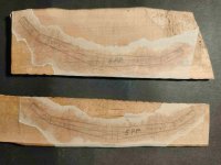 IMG20260209092742 (2).jpg