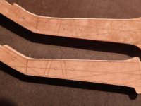 IMG20260213200137 (2).jpg