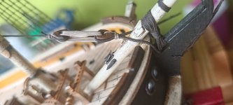 WhatsApp Image 2026-02-14 at 12.44.32.jpeg