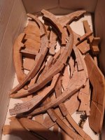 IMG20260215125203 (2).jpg