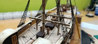 WhatsApp Image 2026-02-19 at 20.14.06.jpeg