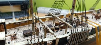 WhatsApp Image 2026-02-19 at 20.14.07.jpeg