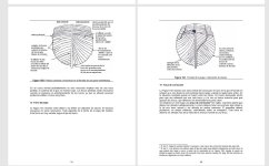 Captura de pantalla 2026-03-03 164303.jpg