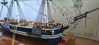 WhatsApp Image 2026-03-10 at 10.40.03 (2).jpeg