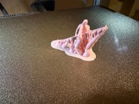 WhatsApp Image 2026-03-10 at 21.48.11.jpeg