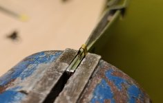 WhatsApp Image 2026-03-12 at 19.12.16.jpeg