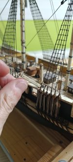 WhatsApp Image 2026-03-14 at 20.12.27 (1).jpeg