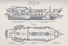 Beagle_-_plan_1832.jpg
