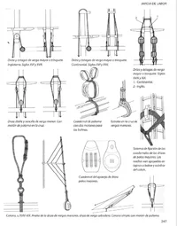 Captura de pantalla 2026-04-10 003843.webp