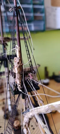 WhatsApp Image 2026-04-15 at 19.43.41 (2).webp